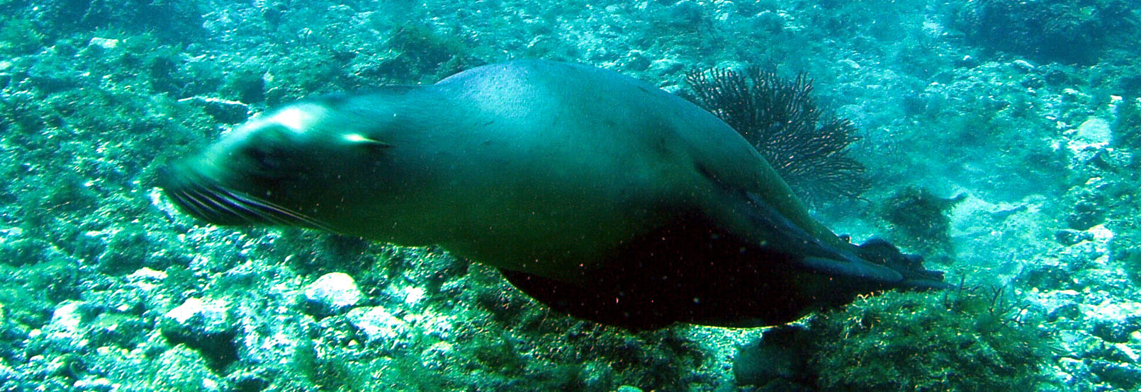 Aventura y Ecoturismo en la-paz